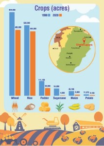 A tale of unguided transformation