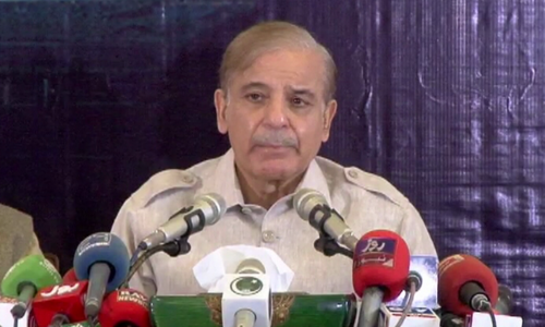 PML-N being targeted for serving the nation, says Shehbaz PML-N being targeted for serving the nation, says Shehbaz
