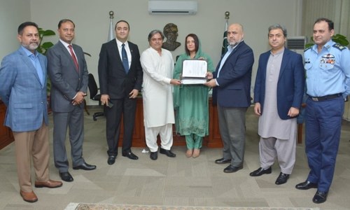 Tourism licence issued to private airline