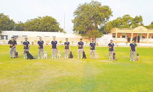 Sindh police&rsquo;s canine unit reactivated to trace explosives, drugs
