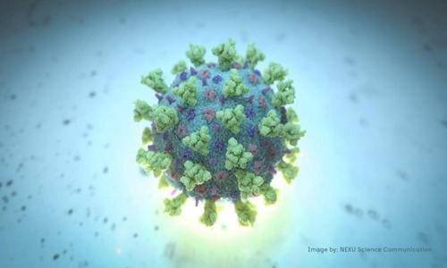 US shows no scruples in politicising pandemic: China Daily editorial