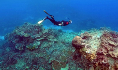 Australia foils Unesco attempt to downgrade Great Barrier Reef