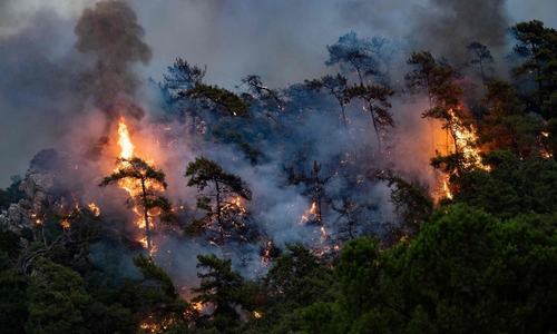 EU sends help to Turkey as wildfire death toll hits 8