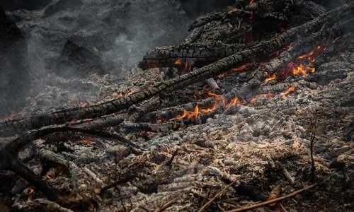 California wildfire now second-worst in state history
