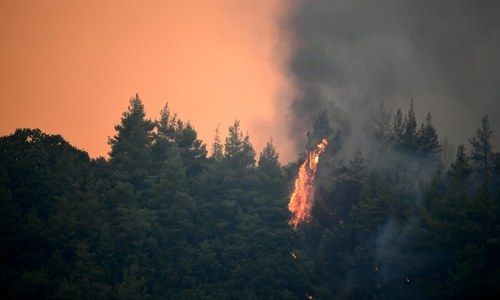 Greek PM says sorry as wildfire traumatises islanders