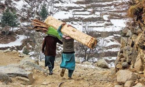 KP cabinet okays Rs525m to shift seized timber from Chitral to Chakdara