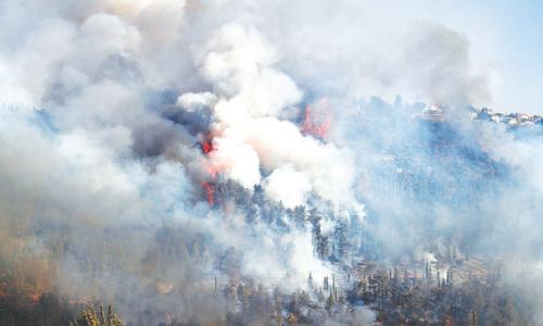 Israel seeks international help to fight forest fires Israel seeks international help to fight forest fires
