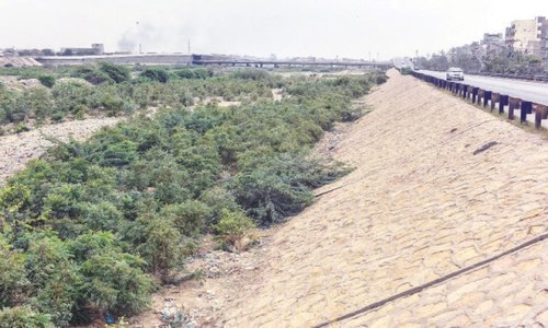 50 acres of barren Lyari riverbed turned into urban forest in Karachi 50 acres of barren Lyari riverbed turned into urban forest in Karachi