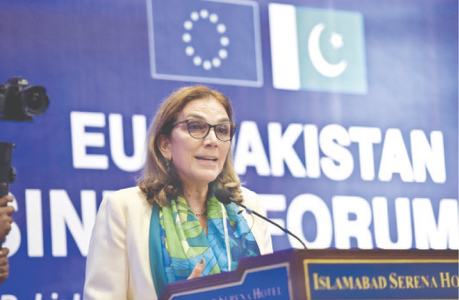 EU-Pakistan business forum for SMEs launched