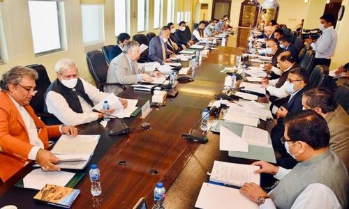 ECC okays Rs44bn financial aid for PIA