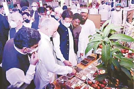 PM announces dividing South Waziristan into 2 districts