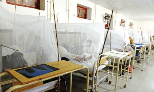 Dengue cases rising in twin cities