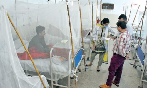 No let-up in number of dengue patients in twin cities