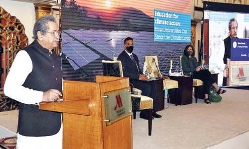 Climate change requires immediate action: minister