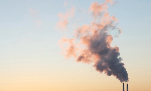 Air quality crisis and response of business