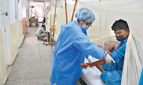 No let-up in dengue patients despite fall in temperature in twin cities No let-up in dengue patients despite fall in temperature in twin cities