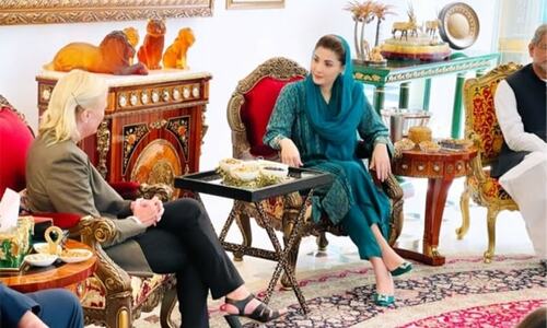 US envoy&rsquo;s separate meetings show PML-N discord