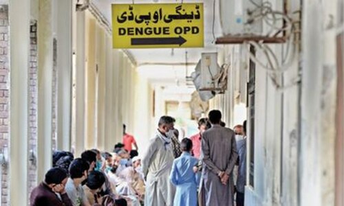 Highest number of dengue cases reported in Islamabad