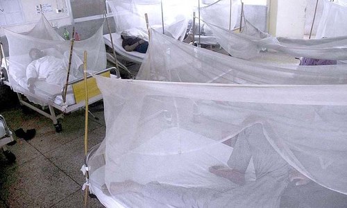 Highest dengue death toll in a day in Punjab so far
