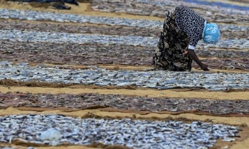 Sri Lankan flotilla protests poaching by Indians