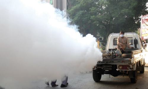 Downward trend in dengue cases seen in Islamabad