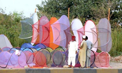 Islamabad records highest number of dengue cases