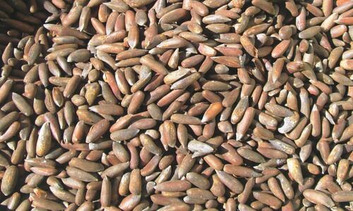 TRADE: A TOUGH NUT TO CRACK