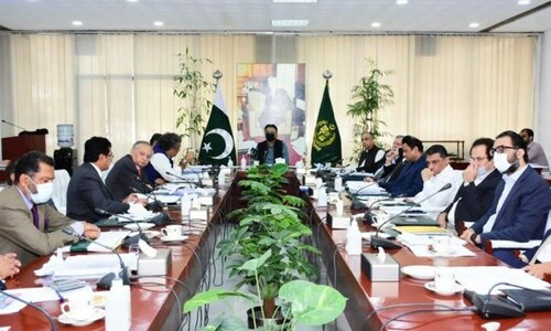Cabinet panel asks Ogra to suggest legal steps against Engro Elengy