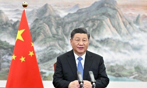 Xi: China will steadfastly advance opening-up