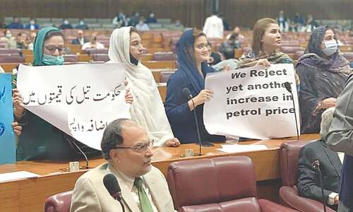 Govt faces opposition ire in NA, Senate over price hike