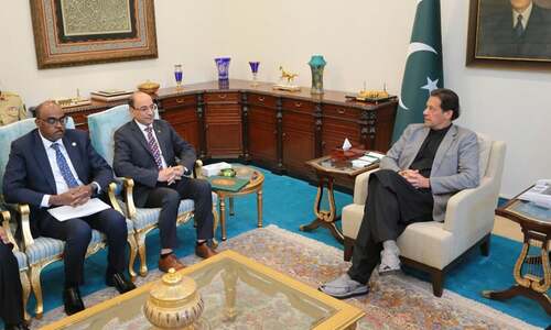 In meeting with OIC envoy, PM Imran calls for allowing global bodies and media access to IoK