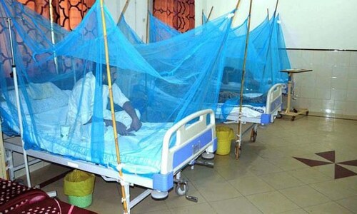 19,595 dengue patients in Punjab so far, court told