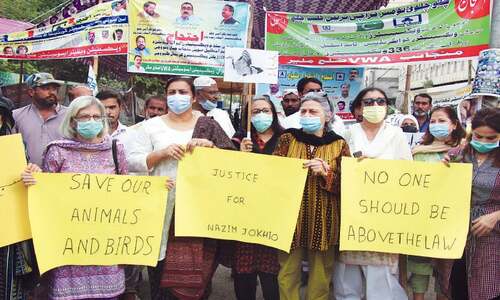 Nazim Jokhio's brother seeks transfer of murder case to anti-terrorism court