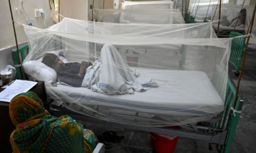 Experts suggest biological method to control dengue in KP Experts suggest biological method to control dengue in KP