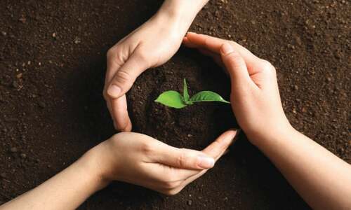 Environment: Trees, nature&rsquo;s frontline fighters