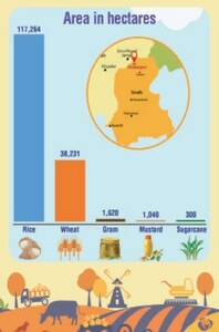 Shikarpur’s potential for diversified agriculture Shikarpur’s potential for diversified agriculture