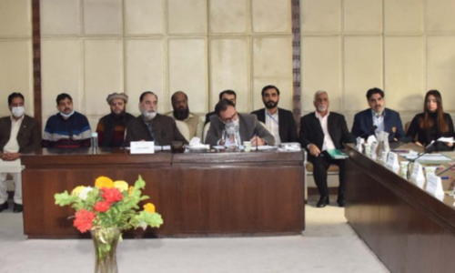 Senate body assails inflation under IMF policies