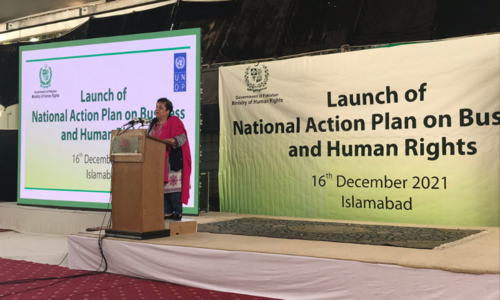 National action plan on business, human rights launched