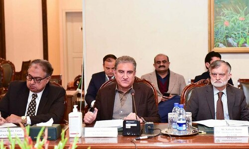 Qureshi asks envoys to implement geo-economic agenda