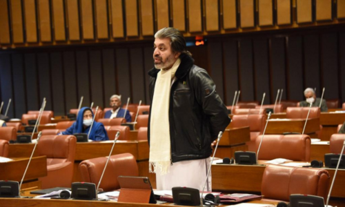 Process for first-ever digital census has begun, Senate told