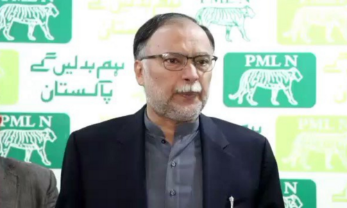 PML-N submits note of dissent on SBP law