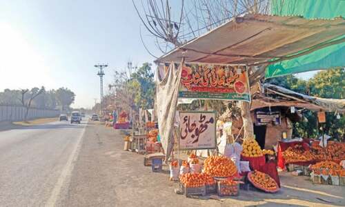 Production of Khanpur&rsquo;s red blood oranges declines this year