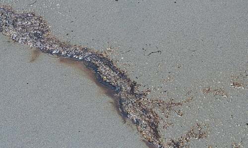 Body of missing  woman found in Tonga