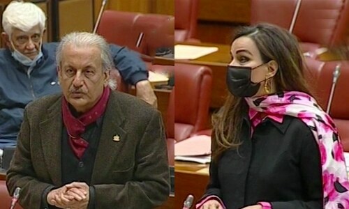 Senate adopts resolution in support of parliamentary form of govt Senate adopts resolution in support of parliamentary form of govt