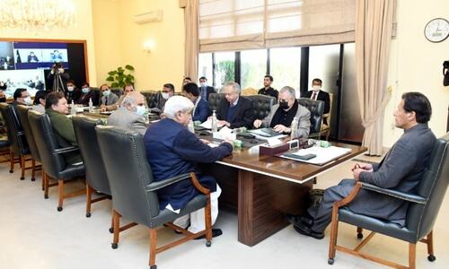 Cotton body established to ensure better yields
