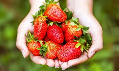 دل کی شکل کے اس پھل کو کھانے کے فائدے جانتے ہیں؟