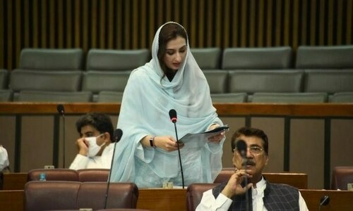 State reviewing legal options in Qandeel Baloch murder case, says Maleeka Bokhari