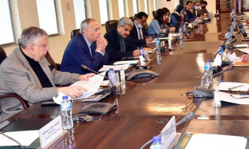 Shaukat Tarin wants export strategy for surplus potato