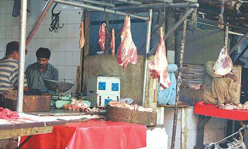 Sindh govt declares emergency to curb spread of lumpy skin disease