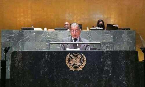 Pakistan plays key role in adoption of UN resolution on combating Islamophobia